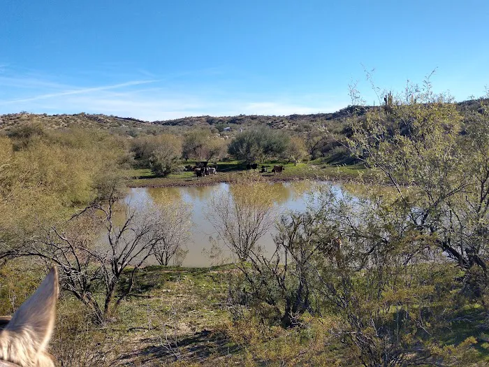 Ride Out Ranch Picture 7