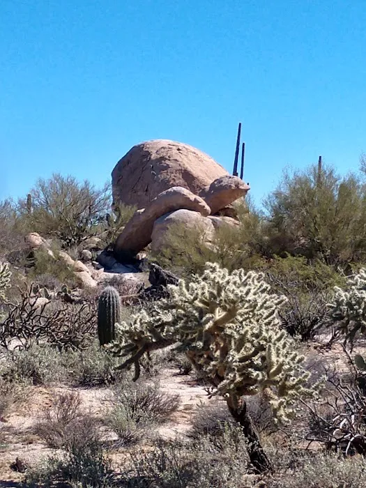 Ride Out Ranch Picture 10