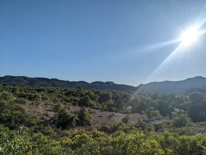 Oak Flat Campground Picture 3