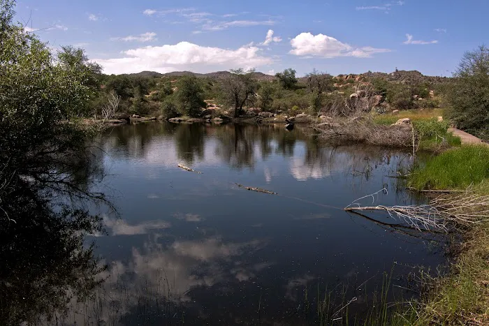Oak Flat Campground Picture 4