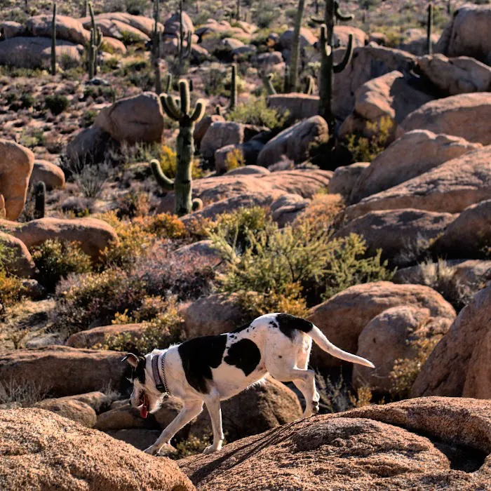The Boulders Picture 5