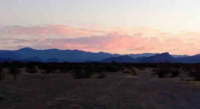 Cactus Forest Boondock Campground Picture 4