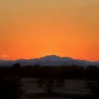 Cactus Forest Boondock Campground ico