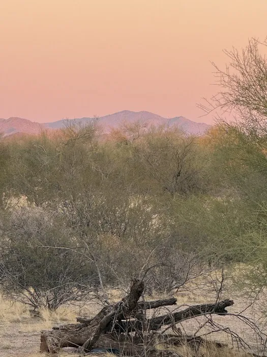 Cactus Forest Boondock Campground Picture 6