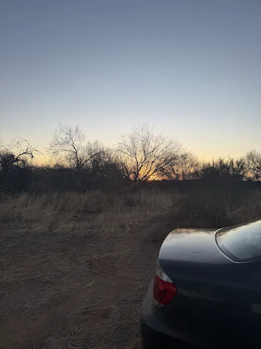 Cactus Forest Boondock Campground Picture 5