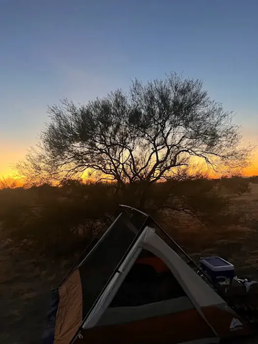 Cactus Forest Boondock Campground Picture 9