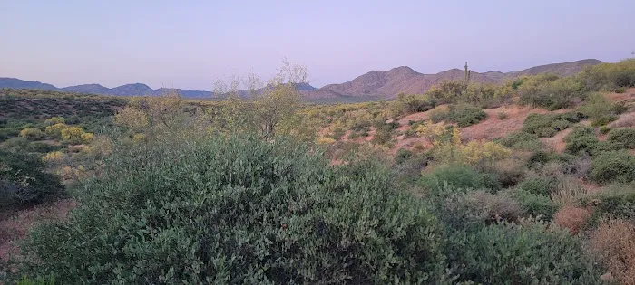 Coati Loop Campsites Picture 2