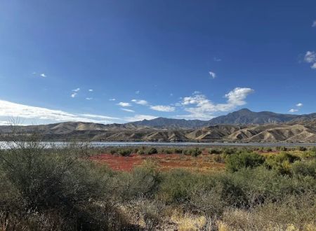 Indian Point Campground, Tonto National Forest