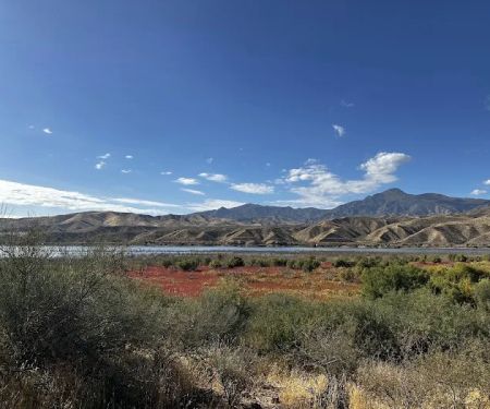 Indian Point Campground, Tonto National Forest