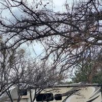 Gold Bar Ranch Campground ico