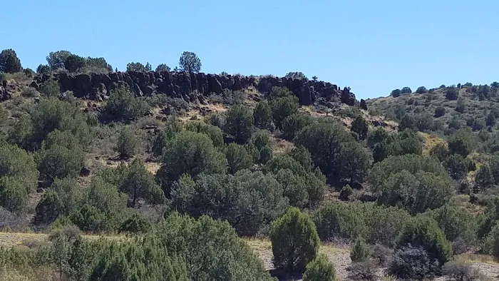 Usda Forest Services Picture 4