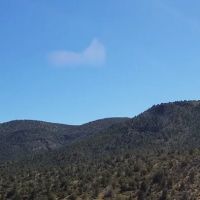 Usda Forest Services ico