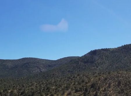 Usda Forest Services
