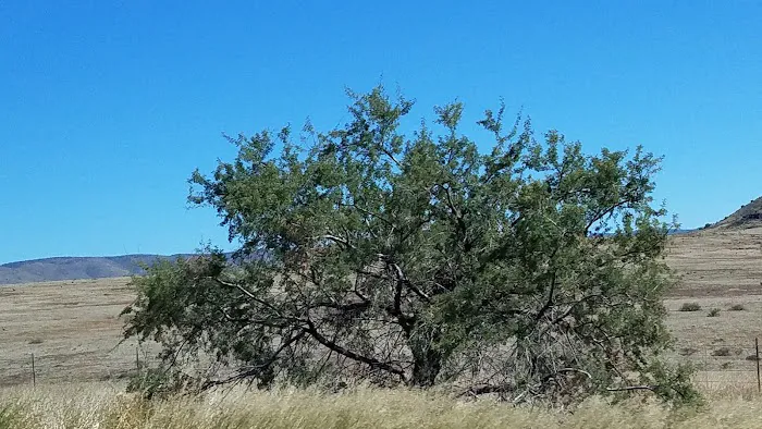 Usda Forest Services Picture 9