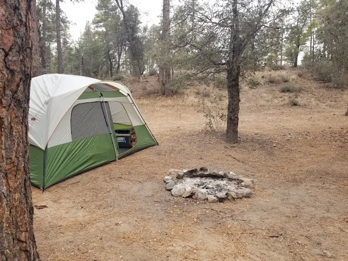 Powell Springs Campground Picture 2