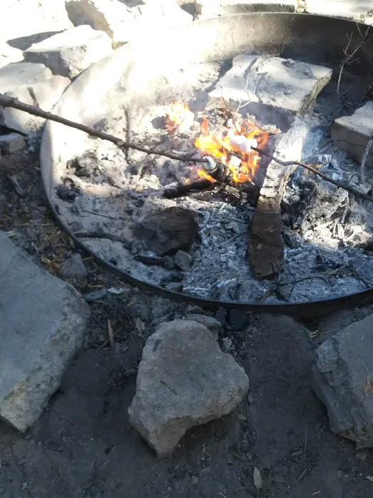 Powell Springs Campground Picture 5