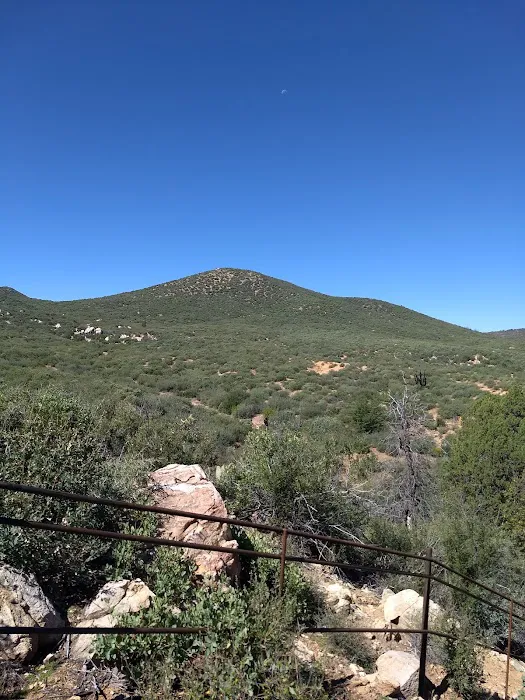 Powell Springs Campground Picture 10