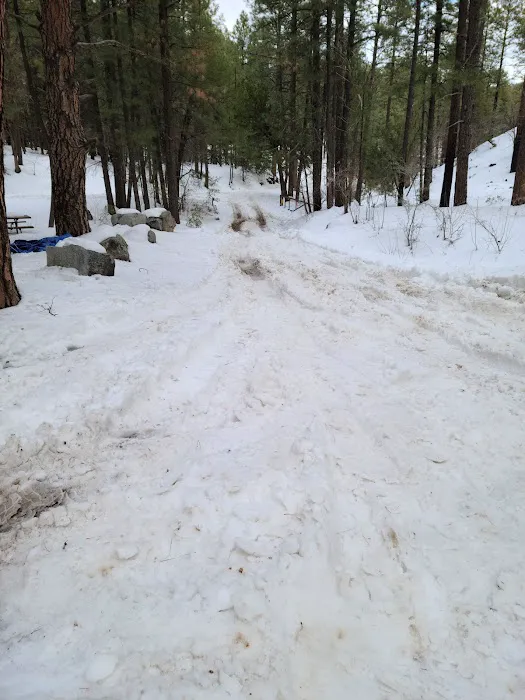 Sulphide Del Ray Campground Picture 2