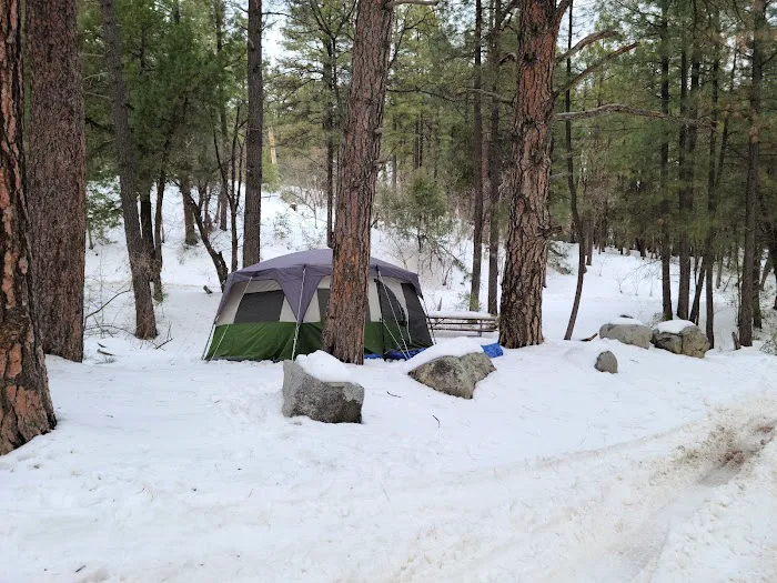 Sulphide Del Ray Campground Picture 6