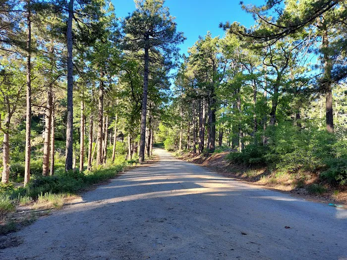 Pinal Campground Picture 1