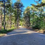 Pinal Campground