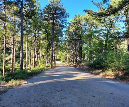 Pinal Campground
