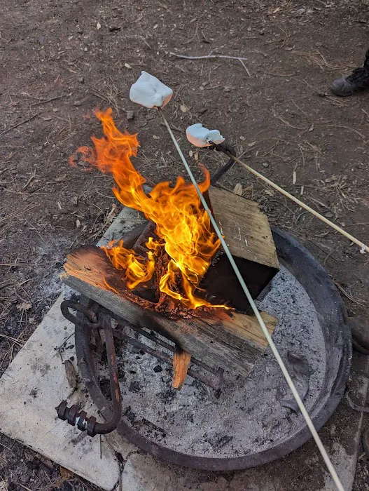 Pinal Campground Picture 4