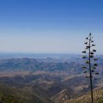 Upper Pinal Campground