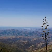 Upper Pinal Campground ico