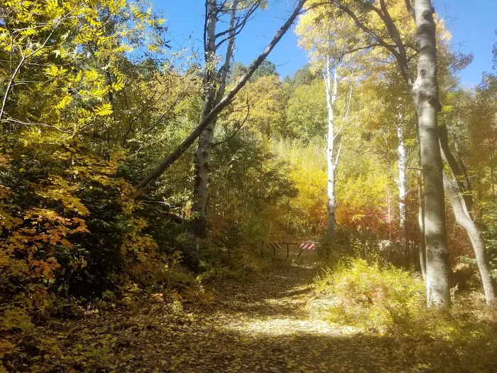 Upper Pinal Campground Picture 9