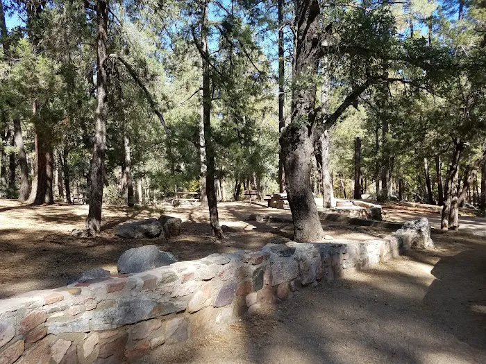 Pioneer Pass Campground Picture 2