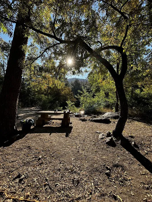 Pioneer Pass Campground Picture 1
