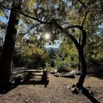 Pioneer Pass Campground