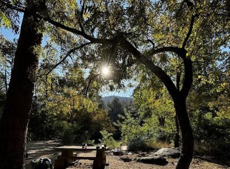 Pioneer Pass Campground