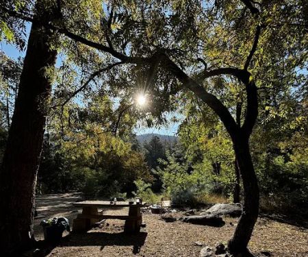 Pioneer Pass Campground