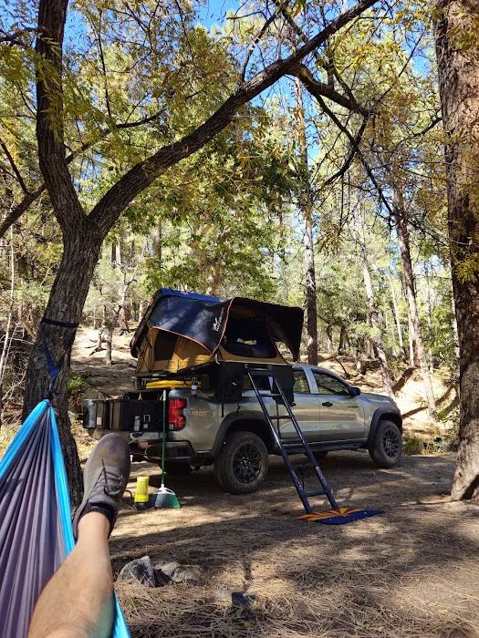Pioneer Pass Campground Picture 4