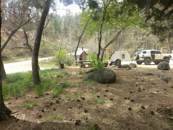 Pioneer Pass Campground Picture 5