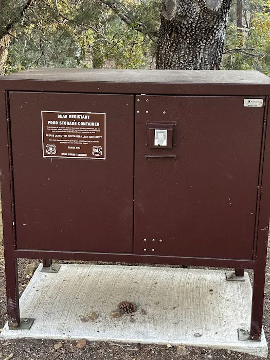 Pioneer Pass Campground Picture 7
