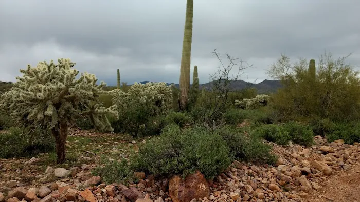 Mescal Mountain OHV Area Picture 1