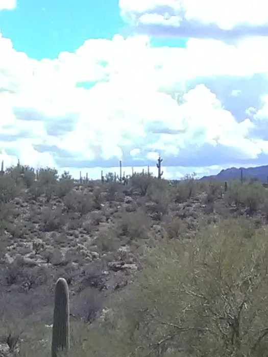 Mescal Mountain OHV Area Picture 5