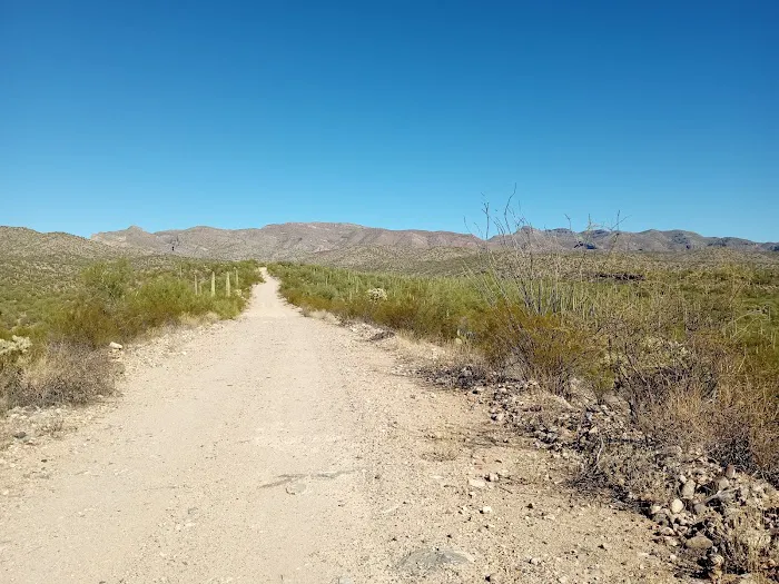 Mescal Mountain OHV Area Picture 9
