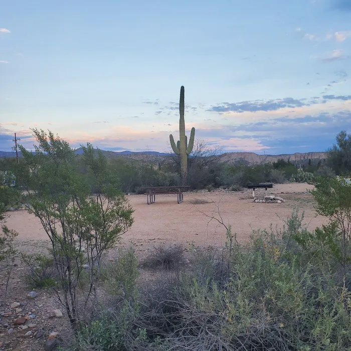 Kearny Lake Campgrounds Picture 2