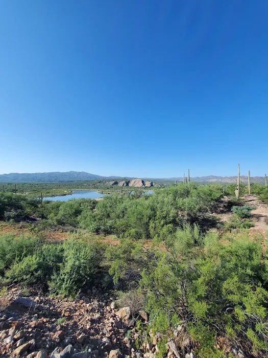 Kearny Lake Campgrounds Picture 4