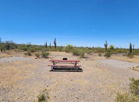 Quail Group Area