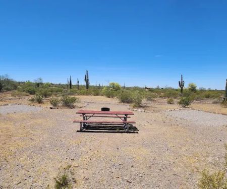 Quail Group Area