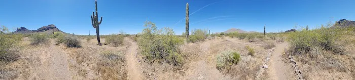 Quail Group Area Picture 10