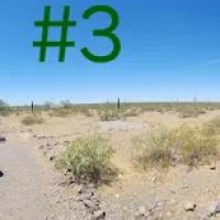 Bobcat Rustic ico