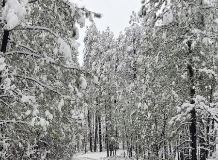 Sawmill Flats Campground