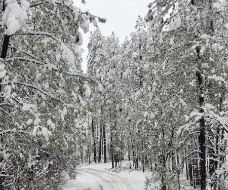 Sawmill Flats Campground