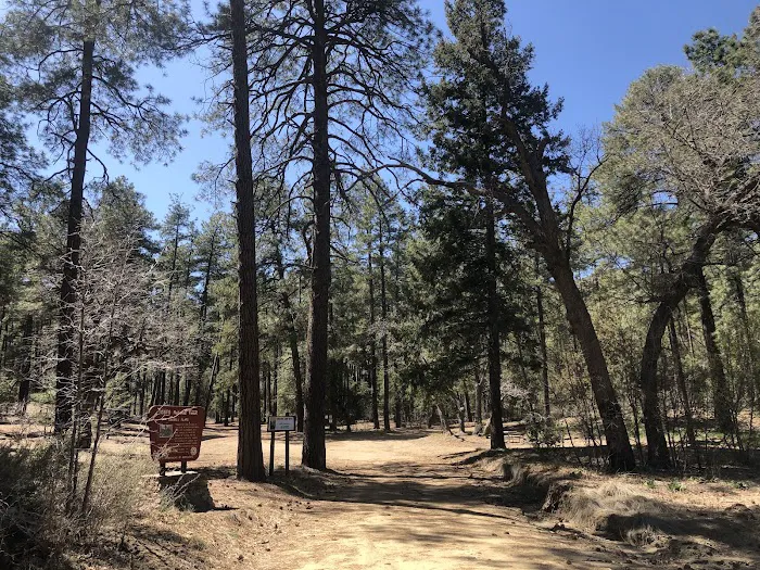 Sawmill Flats Campground Picture 2